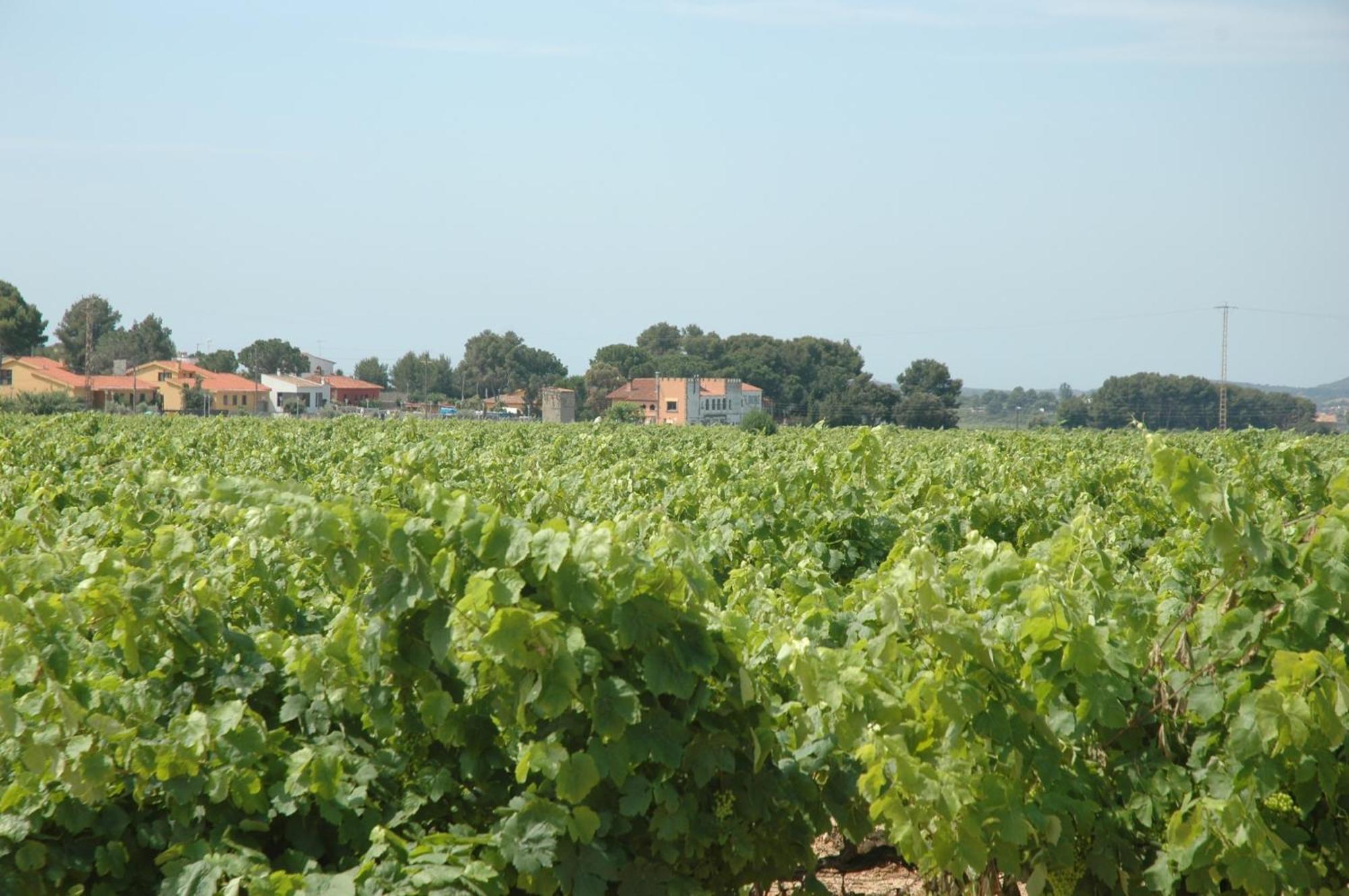Hotel Restaurant El Bosc Banyeres del Penedes 외부 사진